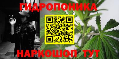 прущая мука Кулебаки