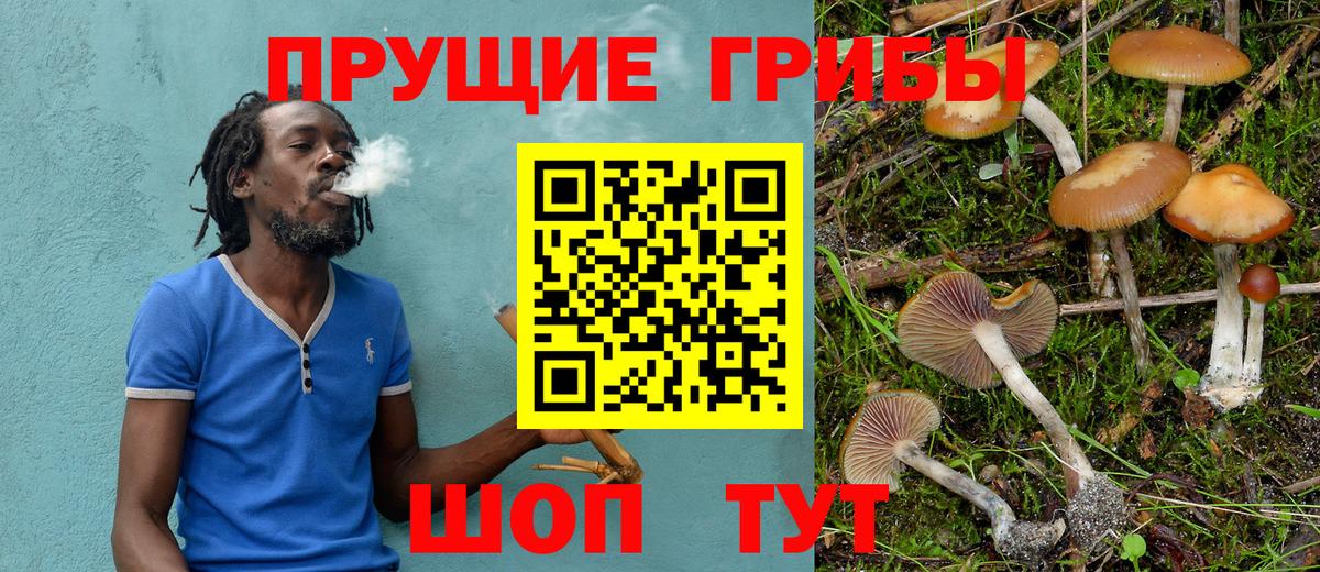 Галлюциногенные грибы Cubensis Егорьевск