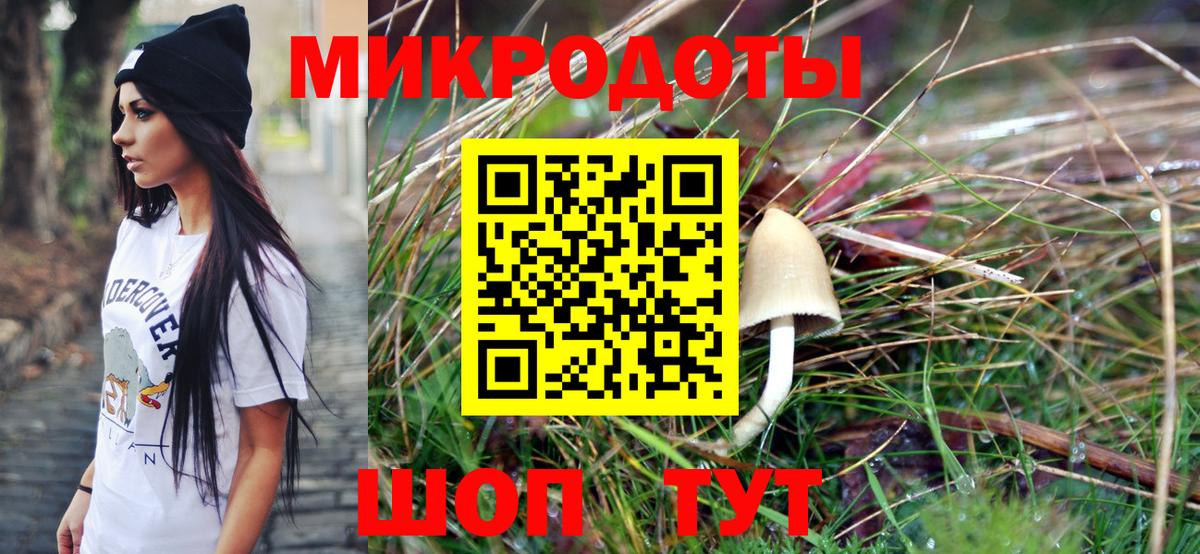 Псилоцибиновые грибы Psilocybe  Вход с VPN  Егорьевск  Псилоцибиновые грибы GOLDEN TEACHER 